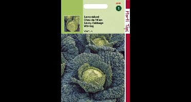 Hortitops Zaden - Savooiekool Vertus 3 (Grote Late Groene)