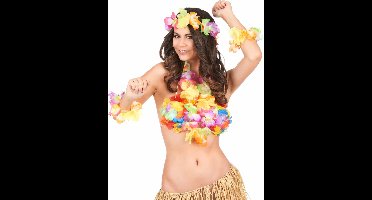 Vegaoo - Kleurrijke Hawaii accessoires set