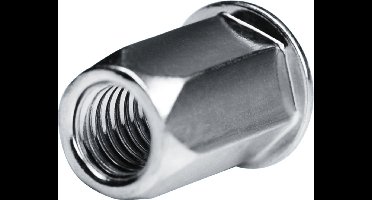 GOEBEL® - 250 x Blindklinkmoeren M 6 - Staal [ AISI 1008 ] Verzinkt (Ø x L) 9,0 mm x 18,0 mm - Vlakke kop Zeskant schacht - Schacht einde Open - GO-NUT - 7550600101 - Linkmoeren - Klinkmoeren - Blindmoeren