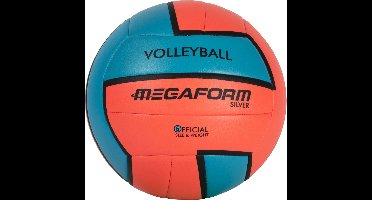 Megaform Volleybal Silver Official Size and Weight
