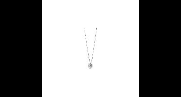 Guess Heren-Ketting Roestvrijstaal One Size Zilverkleurig 32021256
