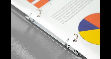 Kangaro ringband - A4 - 2-rings - PP - rugbreedte 16 mm - 30 stuks assorti kleuren - K-58190606