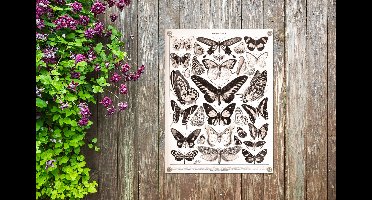 Tuin decoratie Vlinder - Dieren - Zwart - Wit - 30x40 cm - Tuindoek