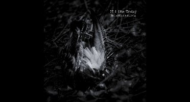 If I Die Today - The Abyss In Silence (CD)