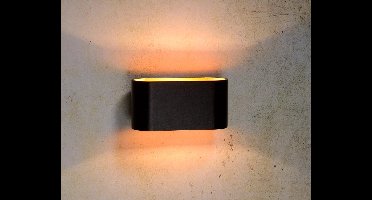 Groenovatie Wandlamp Ovaal - Vast - G9 Fitting - Mat Zwart en Goud