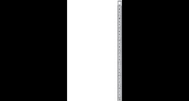 Stalen 30 cm liniaal met gegraveerde maatverdeling