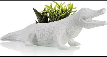 Krokodil bloempot large - Bitten Design