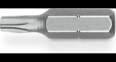 Hitachi Bit 1/4" TX20 x 25mm blister van 25 bits