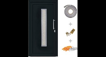 vidaXL - Voordeur - 98x208 - cm - antraciet