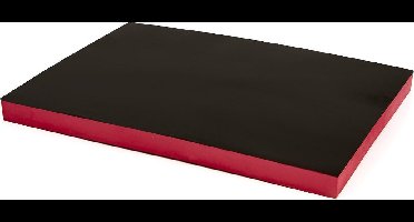 Foam Inlay 585 x 410 x 40 mm. voor Gereedschapswagen