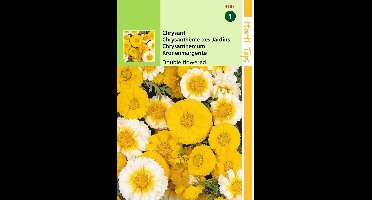 2 stuks Chrysanthemum Coronarium Dubbelbloemig Gemengd