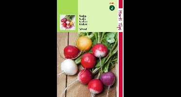 2 stuks Hortitops Radijs Ronde Gemengd