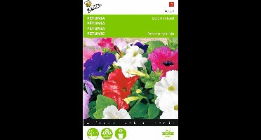 2 stuks - Buzzy - Petunia Hybrida Nana Compacta Gemengd
