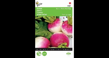 2 stuks - Buzzy - Rapen Ronde Witte Roodkop