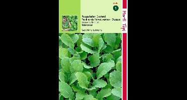 2 stuks Hortitops Raapstelen Groene