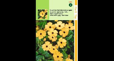 2 stuks Hortitops Thunbergia Alata Suzanne met de mooie Ogen