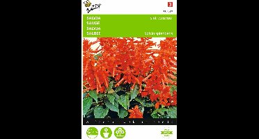 2 stuks Salvia, Vuursalie Sint Jansvuur