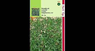 2 stuks - Hortitops - Bonenkruid Overblijvende