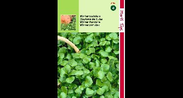 2 stuks Hortitops Postelein Winter Claytonia Perfoliata