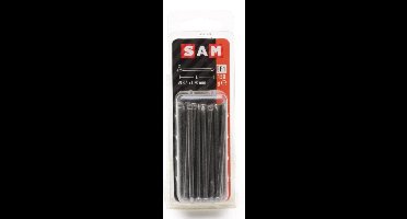 SAM Nagel ronde kop 3.5x70mm ca.150 gram 815084