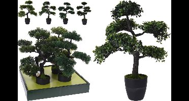Homestyle Bonsai Boom In Pot - Decoratie - 50 cm Assorti