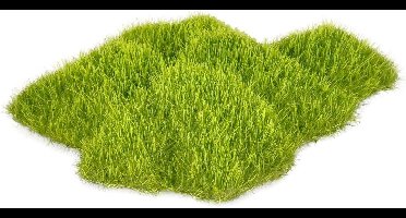 Flamingo - Aquarium Kozmo rots + mos - Groen - 9x6x2cm