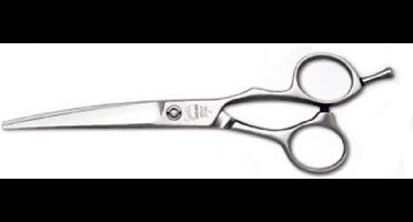 Jaguar Jaguar Solingen Xenos Kappersschaar 6.0