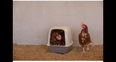 Nestkast voor kippen - KERBL - 52 x 39 x 39 cm