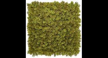 Kunsthaag wandpanelen - Mospaneel legergroen - 100x100 cm - plantenwand - groene oase