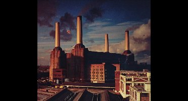 Animals (180G) (2016 Version)