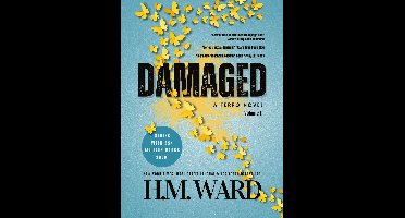 Damaged 1 - Damaged