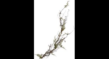 Silk-ka Kunstbloem-Zijden Bloemen Houttak Groen 142 cm