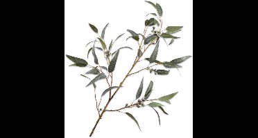Silk-ka Kunstbloem-Zijden Bloemen Eucalyptus Tak Groen 121 cm