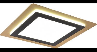 Plafondlamp Trio Leuchten Morgan zwart