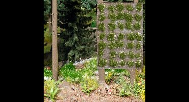 Busch - GRASBUSCHEL MIT STEINEN SPATSOMMER 35 ST. (2/23) * - modelbouwsets, hobbybouwspeelgoed voor kinderen, modelverf en accessoires