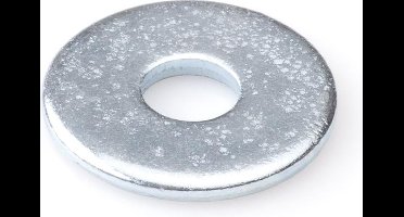 Hoenderdaal carrosseriering gegalv. m20 (22x60x4mm) din 9021
