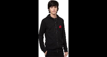 Hugo Boss Daple Hoodie