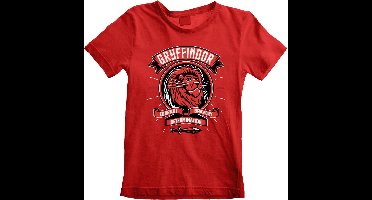 Harry Potter - Comic Style Gryffindor Kids Tshirt - Kids tm 6 jaar - Rood