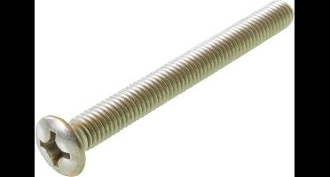 Metaalschroeven Rvs Lenskop M6x90 Din 966 - 100 stuks