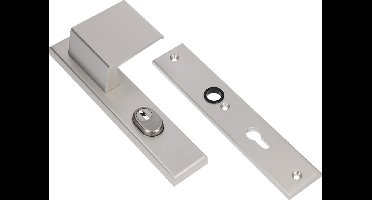 Ami Greeplangschild, VHB 251/15 - 90/80 KT Rechtswijzend pc72 F1