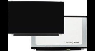 15.6 inch LCD Scherm 1920x1080 Mat 30Pin eDP, IPS