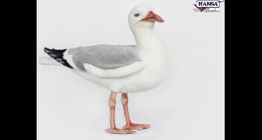 Zilvermeeuw 7259 lxbxh = 36x16x30cm