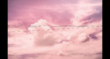 Komar Pure | cloud wire | roze wolken | fotobehang op vlies 400x250cm