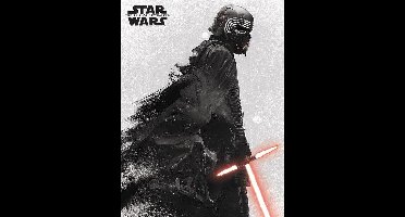 Star Wars the Rise of Skywalker Canvas - Kylo Ren and Vader (40x30cm)