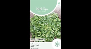Hortitops Zaden - Andijvie Breedblad Volhart Winter