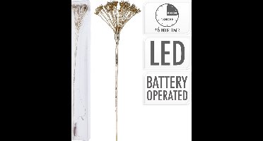 Berenklauw met verlichting goud