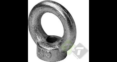 Oogmoer - Ringschroef M10 - Max. werklast 230KG - Verzinkt