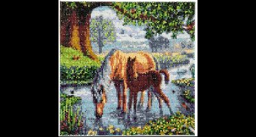 Vedes Diamond Painting paarden Crystal Art 30x30 cm canvas set.