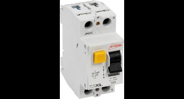 Attema aardlekschakelaar 2 polig 40A in doos