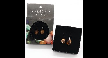 Gemstone oorbellen Tijgeroog